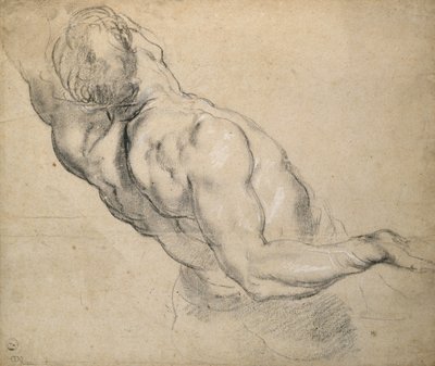 Studie eines nackten männlichen Torsos von Peter Paul Rubens